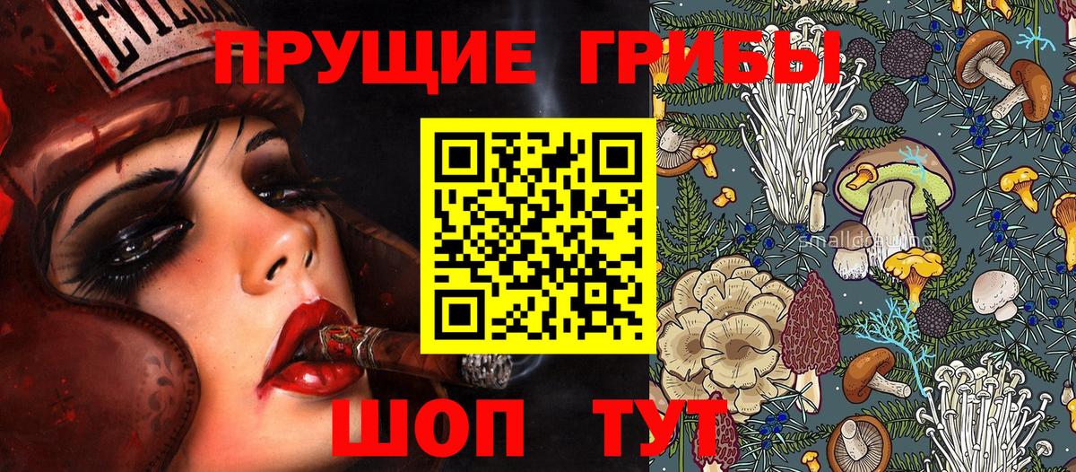 Псилоцибиновые грибы Psilocybine cubensis Нефтекамск