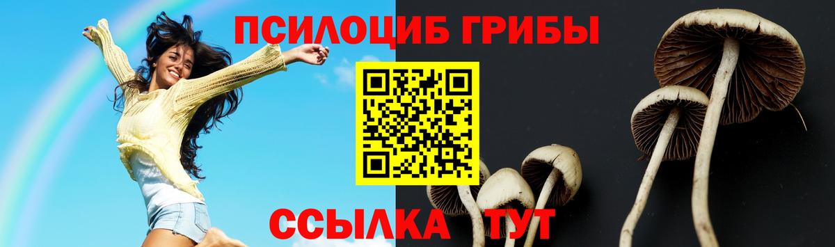 где можно купить   Псилоцибиновые грибы MAGIC MUSHROOMS  Нефтекамск  Вход с VPN  Псилоцибиновые грибы ЛСД 